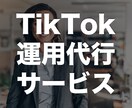 オリジナルメソッドでTikTokを運用代行します SNS運用代行は企業実績多数の弊社にお任せ下さい。 イメージ1