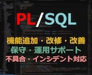 PL/SQLを用いた機能改修、保守を担当します 【経験豊富なシステムエンジニアが対応】 イメージ1