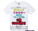 激安フルカラーで【オリジナル白Tシャツ】作成します 【激安】白Tシャツに写真、イラスト、文字をフルカラー印刷！ イメージ1