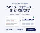 データ入力・整形・リスト化を正確に代行します ていねいな検品でスピードと正確さを両立します イメージ1