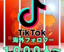 TikTok海外フォロワー★増加をお手伝い致します 外国人フォロワー1000人～ ティックトック イメージ1