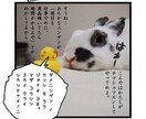 写真から四コマ漫画つくります 【スピード納品】写真の合成で3〜4コマ漫画を作ります。 イメージ2