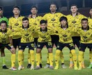 元海外プロサッカー選手が悩みを電話で聞きます 海外挑戦の悩みをなんでも聞きます。 イメージ3