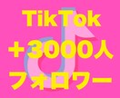 Tiktokフォロワー3000人増やします 評価貯まるまで最安★フォロワー確実に増加させます！ イメージ6