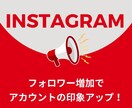 フォロワー増やします インスタのフォロワーを簡単に増加！ イメージ1