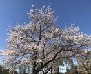 スケジュール管理方法をお教えします あなたの時間を有効活用出来るスケジュール帳を個別に作成します イメージ2