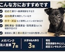 元メガバンク行員が融資面談対策をします 法人営業7年の経験から想定質問と回答ポイントを整理 イメージ3