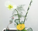 プロが生け花のアドバイスや相談承ります イベントやパーティ、いつもの日常に彩りをプラスしたいあなたへ イメージ3