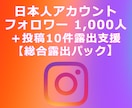 IG:フォロワー獲得と投稿露出を支援します Instagram／フォロワー＋既存投稿／初期露出パッケージ イメージ1