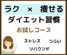 ラクして痩せるダイエット習慣★7日間サポートします 食事、運動などのメニューを習慣に！産後ダイエットにも★ イメージ1