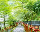 ワンコイン・あなたのこれからを霊視します 写真と生年月日から、これからの流れと転機をお伝えします イメージ9