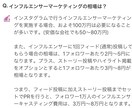 ２月末までこの価格！インスタで１万人に宣伝します 【実力派インスタグラマー】を起用し協力な宣伝効果と販売促進！ イメージ6