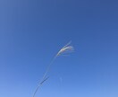 アフレコ、アテレコ、ナレーション、朗読ができます 「声優・CMナレーション」の選抜レッスンを受けています。 イメージ1