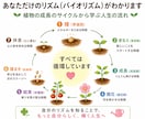 生年月日からあなたの運気の波を見える化します 10年・1年・1か月・毎日の運気と行動のヒントをお届けします イメージ4