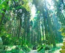 20分間　深層霊視・タロット占いします 視えたことは、隠さずお伝えします イメージ1
