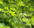ちょっと聞いて欲しい！どんな悩みでも聞きます ちょっと相談してみたい。お話を聞いて少しでも楽になれたら！ イメージ1