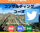 2週間！Twitter運用コンサルティングします フォロワーの増やし方、拡散の仕方のコツ注意点等お教えします イメージ1