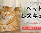女性向けWEB画像作成いたします シンプルで柔らかい表現の画像、お求めではありませんか？ イメージ3