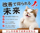 WordPress修正｜SEO設定・改善します AIO対応可｜ブログ更新やエラー修正まで何でも相談可 イメージ5
