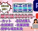 最安値3000円！丁寧に動画編集いたします 修正3回無料！面倒な編集は外注で動画撮影に集中できます！ イメージ1