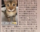 電話で心がほどける！オラクルカード引きます 電話で相談するだけで、迷いがほどける不思議体験 イメージ2
