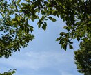 突然の不登校!不安いっぱいのお母さんお話し伺います ショック！大混乱！>⁠.⁠<　から「ま、しょうがないか〜」へ イメージ5