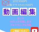 カットテロップ承ります チャンネル登録者数1.2万人の編集者が編集します イメージ1