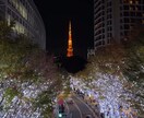 どんな悩みもあなたを育てる力になります 本音があなたを導き、強く美しく生き始めていく。 イメージ9
