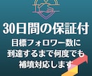 あなたのインスタを宣伝しフォロワーを増やします 最速でInstagaramのフォロワーを1000~増やします イメージ2