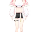 Vtuberキャラデザからモデリングまで制作します Live2Dのイラストからモデリングまで一括で制作致します！ イメージ5