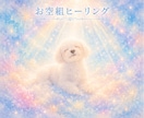 お空組リーディング♡想いを届け返事を受け取ります 虹の橋のあの子へ愛を届け、優しいお返事を受け取ります イメージ6