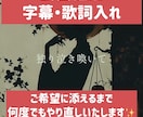 ショート動画等字幕・歌詞入れます YouTubeやTikTok動画に字幕を入れます。 イメージ1