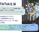 お試し版！！TikTokをゼロからスタートします まずは1本から、TikTok運用の効果を体験してみませんか？ イメージ3