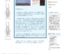 HTML、CSSコーディングできます 対象に合わせたサイト構築を目指します。 イメージ2