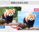 当日納品可！人物・商品の補正・修正・加工します 写真補正の仕事経験があるプロデザイナー。スピード即日対応可能 イメージ6