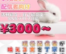 VTuber・配信者向け紹介文を書きます あなたの“らしさ”を言葉で届けます イメージ1