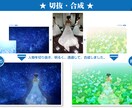 写真の画像修正承ります 「いい写真なのに、これさえなければ・・・」を叶えます! イメージ5