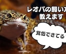 動画系のサムネイル、ヘッダー、ロゴを作製します みなさんの思いや伝えたい情報を最大限活かして作品に反映します イメージ3