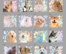 Happy Color｜LINEスタンプ作ります お子さまのお写真やペットのお写真で。プレゼントにも！ イメージ8