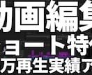27万回再生！vtuber切り抜きショート作ります ショートであなたのチャンネルを伸ばすお手伝いさせてください！ イメージ5