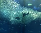 心の病。少しでも良くなれるようにサポートします 心に悩みをもっている方、身内に心に悩みをもっている方 イメージ1