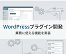 作業を効率化するWP専用プラグインを開発します SEOに使える！あなただけの機能 イメージ1