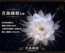 月光に願いを託し、精霊白魔術で縁結びします 精霊縁結秘儀ー月詠縁結ーにて恋愛成就を祈願します イメージ2