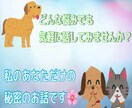 色んなお悩み小さい大きい関わらず親身に聞きます こんな悩み誰にしたら良いのかな？私と話してスッキリしましょう イメージ4
