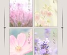 繊細な世界観のSNS投稿画像作ります 繊細/ノスタルジックな画像で訪問者様を魅了しませんか？ イメージ3