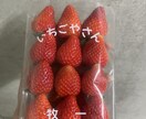 現場を知る青果営業が損をしない仕入れを伝授します 毎日100件以上の飲食店へ納品調整中！ イメージ1