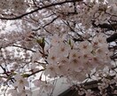 誰だって褒められたい！貴方の気持ちに寄り添います 自分は褒められて育つ！！そう思われてる方お待ちしてます イメージ1