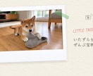 クーポン配布中 手書き風うちの子動画作ります 9/30までお気に入りで30%オフ チェキと手描きで約3分 イメージ5