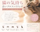 愛猫の本音と絆を読み解きます 猫の気持ち占いプロファイリング イメージ1