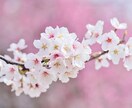 テキスト　気軽な受験・学習・学校生活相談できます 顔出し不要！テキストで気軽に学校相談 イメージ3